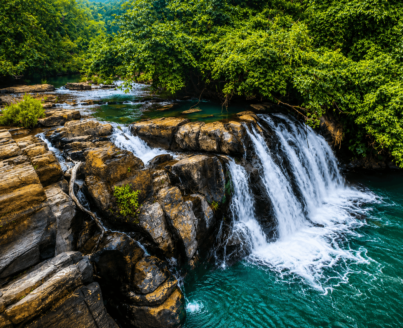 Coorg
