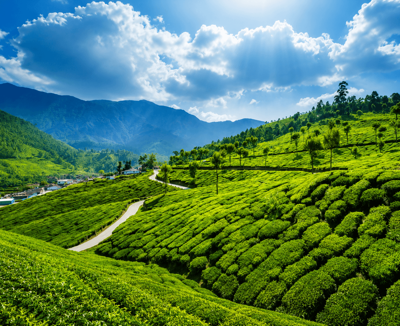 Munnar