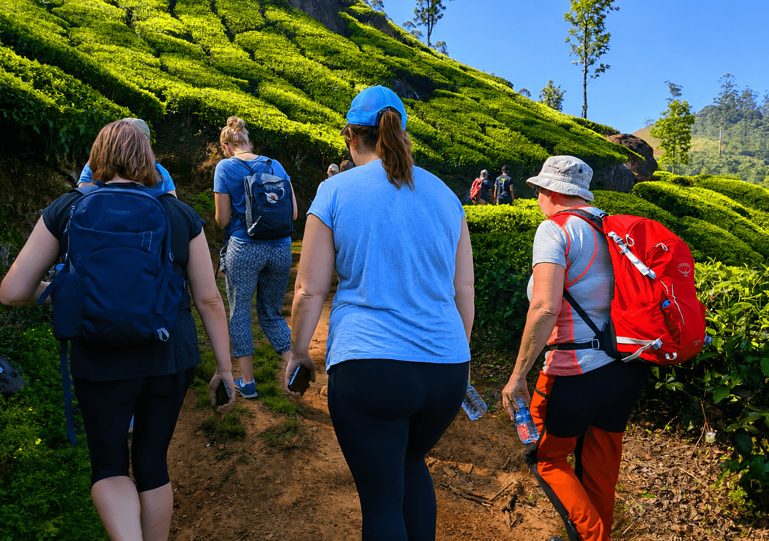 Nature Tours