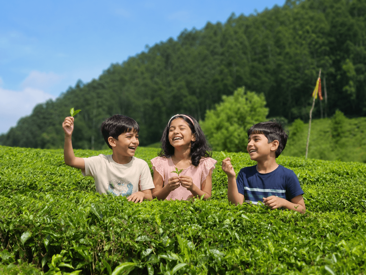 A scenic luxury travel experience in Kerala