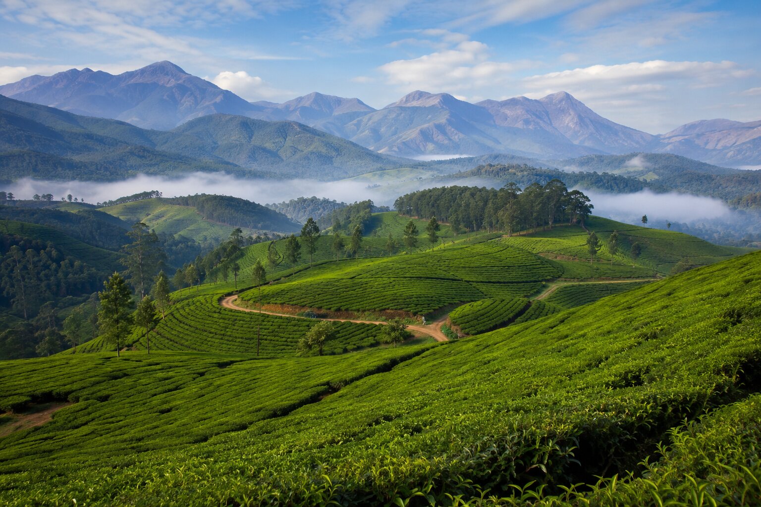Munnar